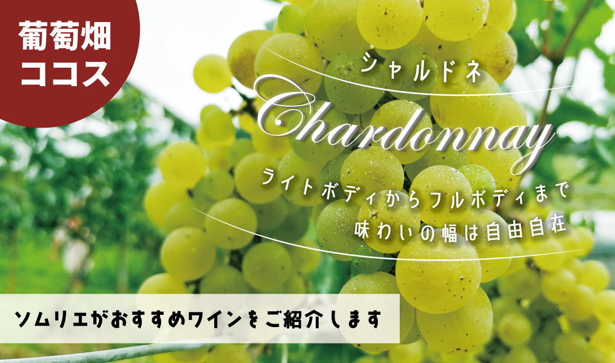 【品種のおはなし】シャルドネとは 白ワインの特徴と選び方のポイント 【ソムリエが解説】