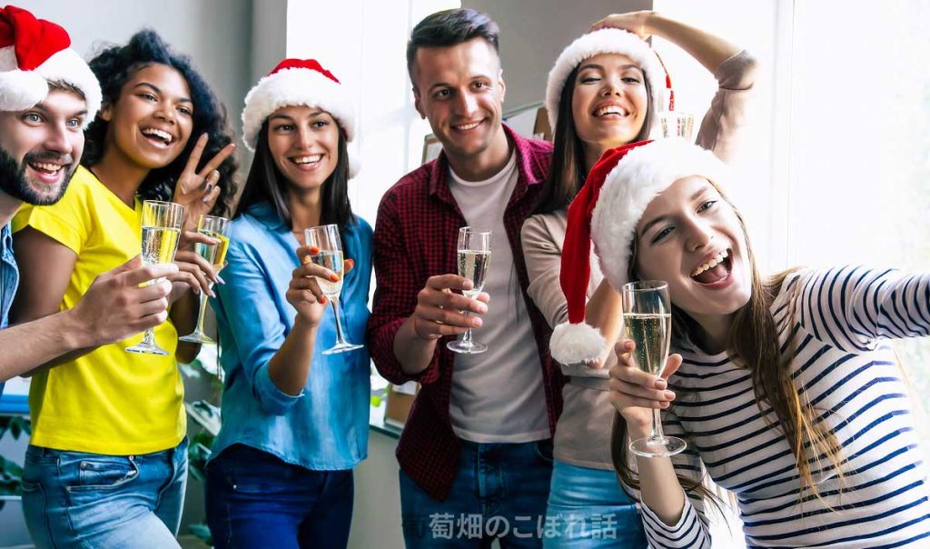 クリスマスパーティーにピッタリのワイン 友達誘ってクリパワイン特集 趣味のワイン ワインの通販 葡萄畑ココスのブログ