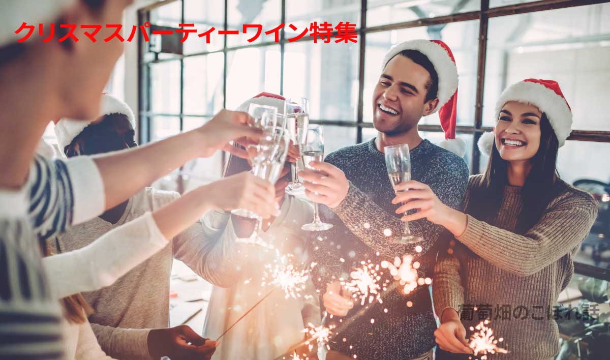 クリスマスパーティーにピッタリのワイン 友達誘ってクリパワイン特集 趣味のワイン ワインの通販 葡萄畑ココスのブログ