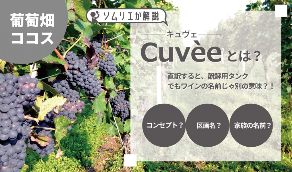 【ワインの用語解説】「Cuvee キュベ、キュヴェ」とは ラインナップの名づけ方