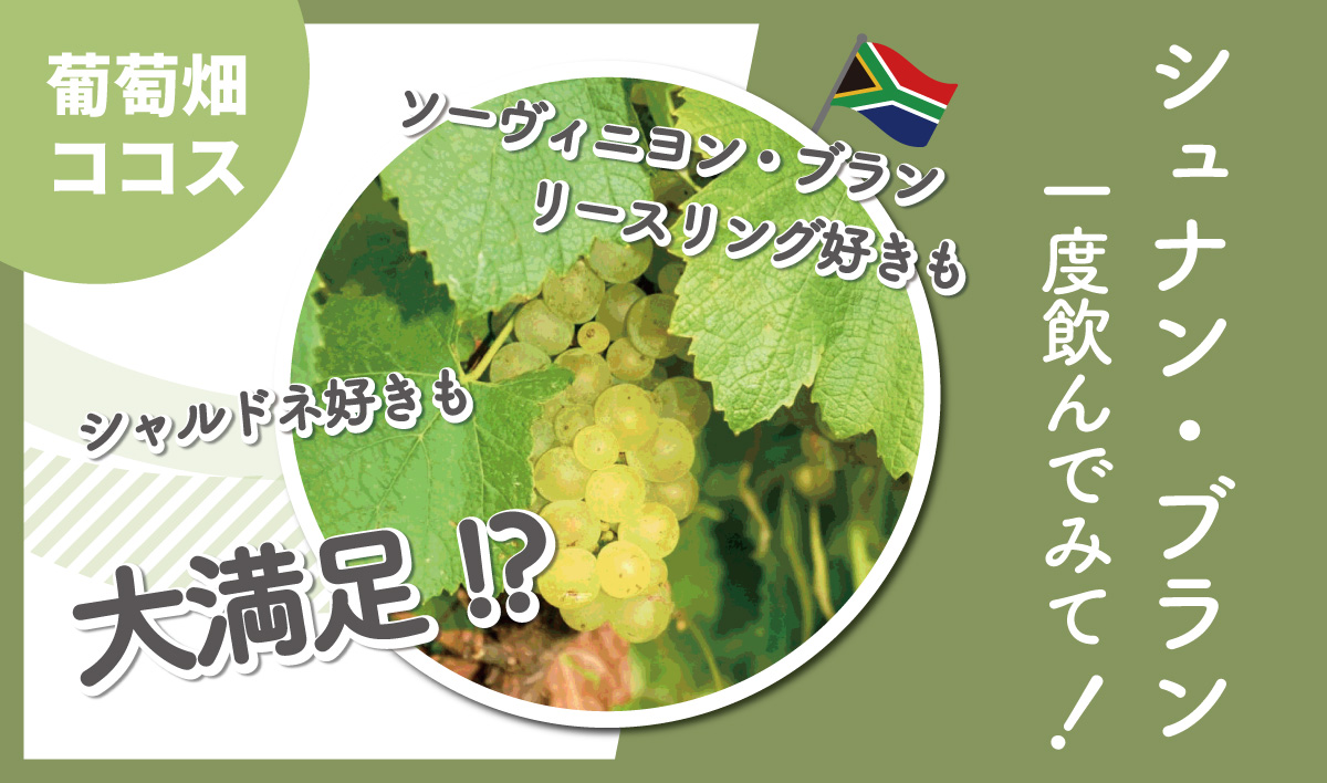 南アフリカ産シュナン・ブラン 好みのブドウ品種で選ぶなら