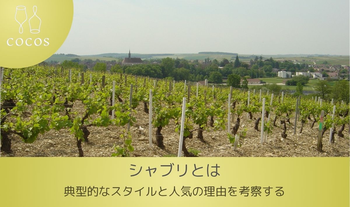 　【初心者必見】シャブリとは｜辛口白ワインの代名詞として人気の理由