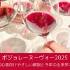 【11月20日解禁！】ボジョレー ヌーヴォー 2025｜初心者向けやさしい解説と今年の出来栄え