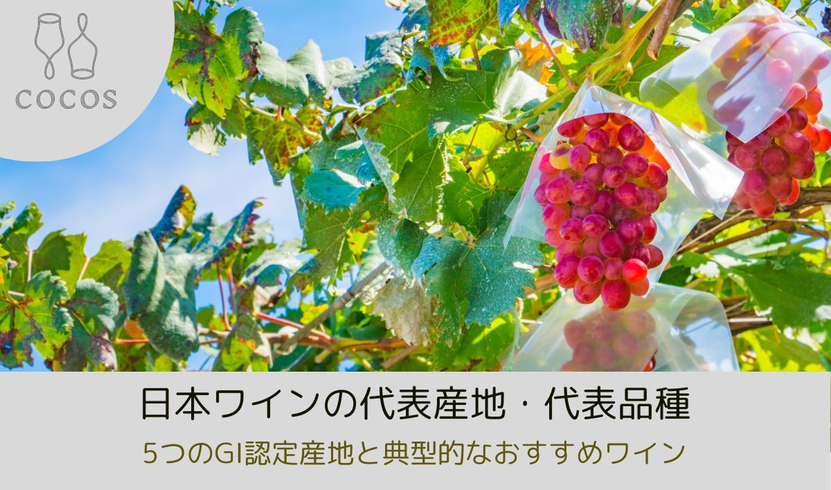 日本ワインのおすすめ8選｜5つの代表産地と典型的な銘柄