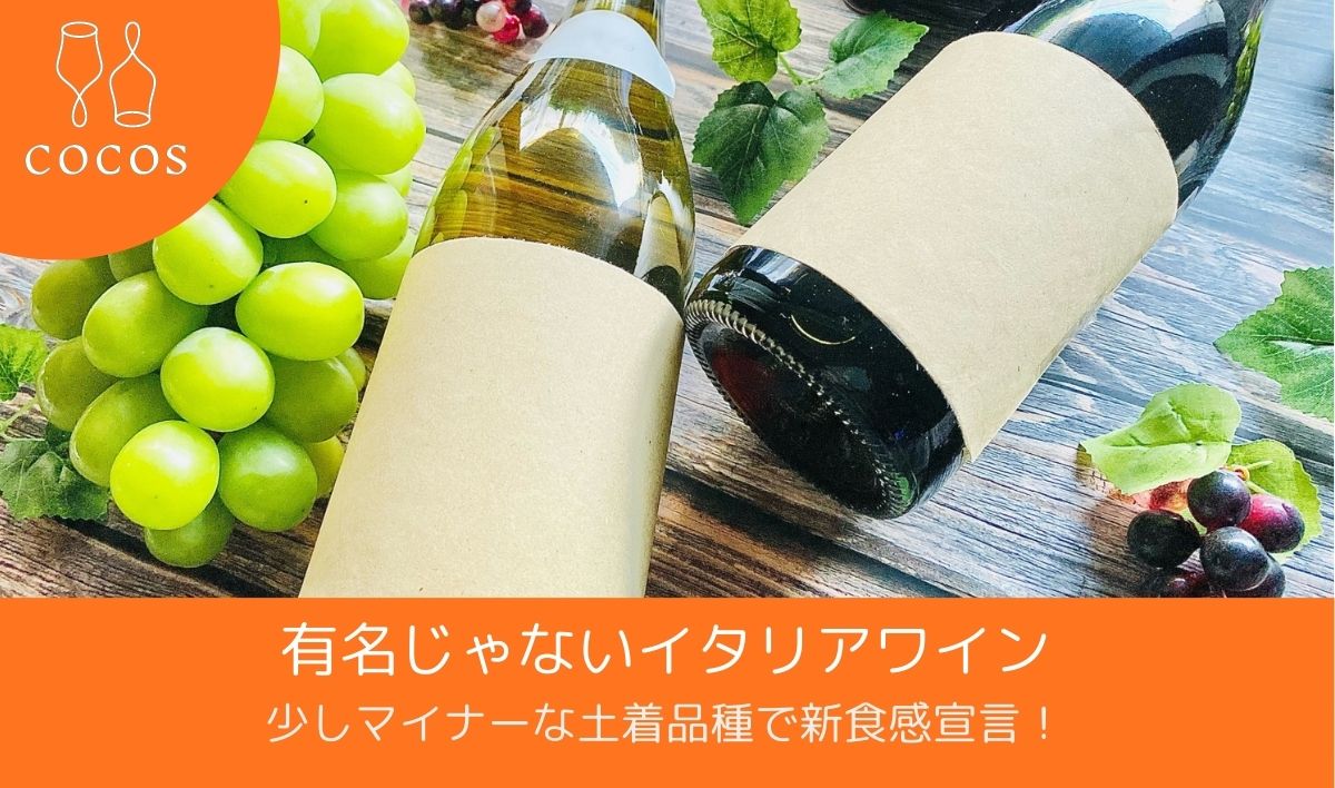 有名じゃないイタリアワイン｜少しマイナーな土着品種で新食感宣言！