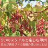 5つのスタイルで楽しむ甲州｜日本が誇るブドウ品種の使い分けとは