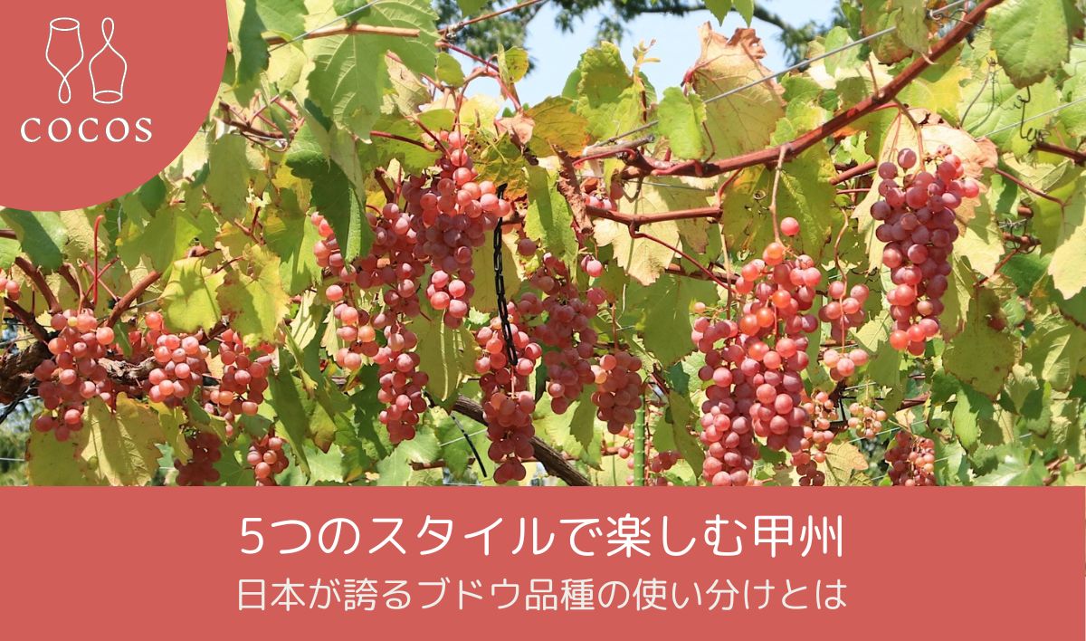 5つのスタイルで楽しむ甲州｜日本が誇るブドウ品種の使い分けとは