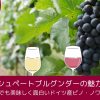 シュペートブルグンダーの魅力｜手頃でも美味しく面白いドイツ産ピノ・ノワール
