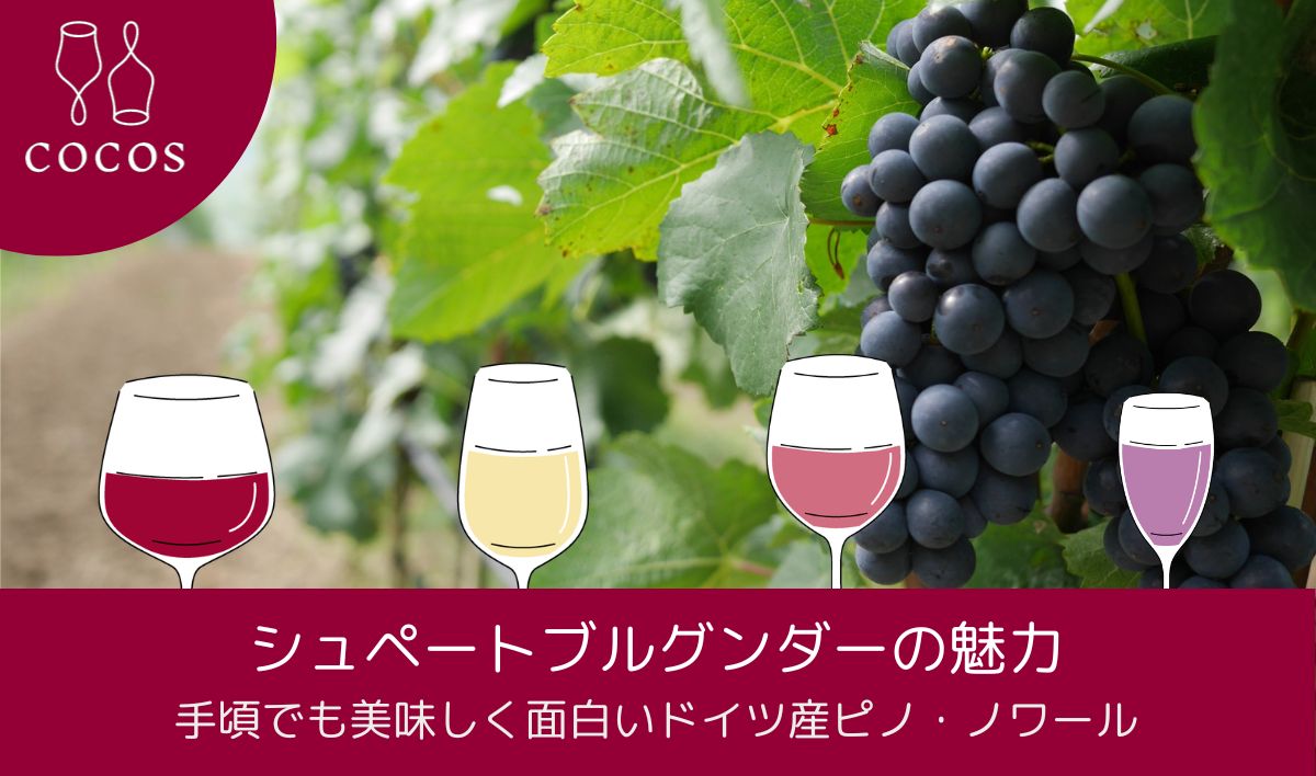 シュペートブルグンダーの魅力｜手頃でも美味しく面白いドイツ産ピノ・ノワール