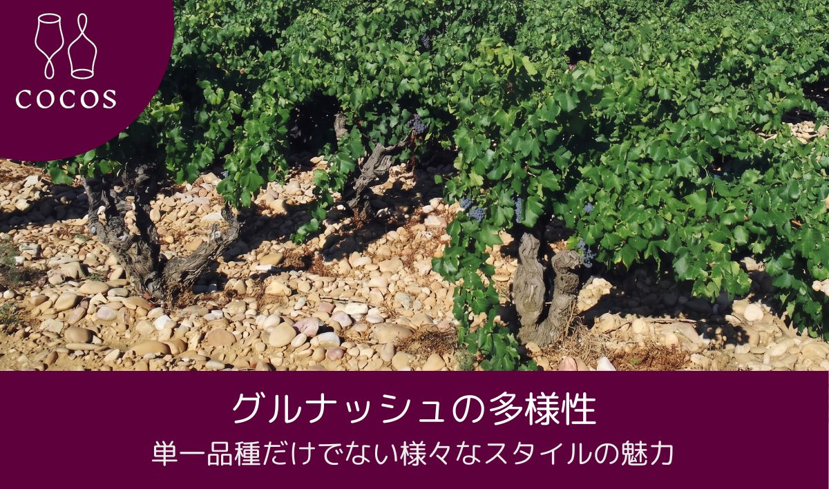 グルナッシュの多様性｜単一品種だけでない様々なスタイルの魅力
