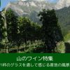 山のワイン特集｜1杯のグラスを通して感じる産地の風景