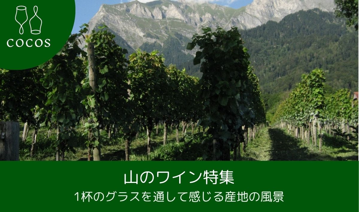 山のワイン特集｜1杯のグラスを通して感じる産地の風景