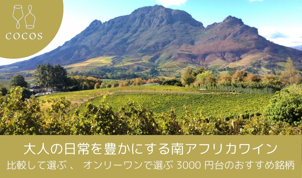 大人の日常を豊かにする南アフリカワイン｜比較して選ぶ 、 オンリーワンで選ぶ 3000 円台のおすすめ銘柄