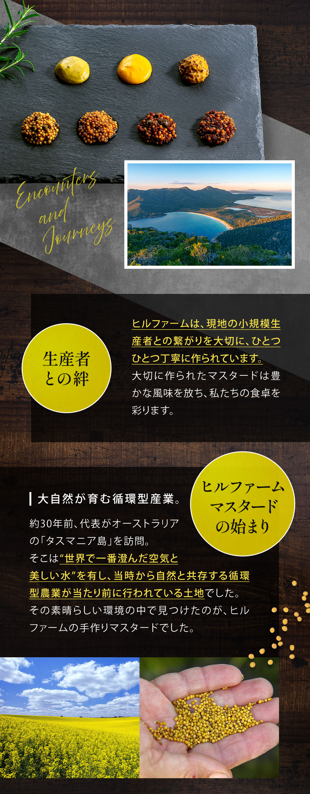 タスマニアの素材を生かしたヒルファームのマスタード